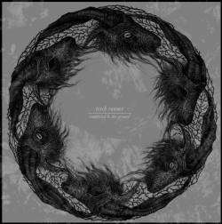 Torch Runner : Committed to the Ground